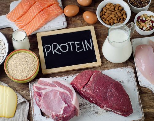 Makanan Sehat yang Mengandung Protein