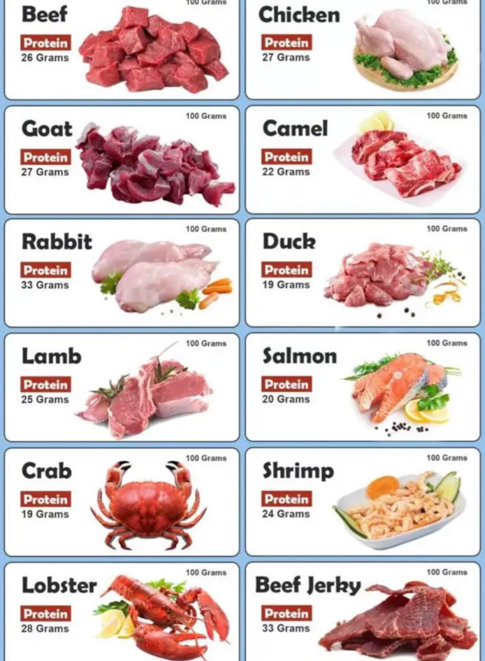 Kandungan Gizi dan Manfaat Daging