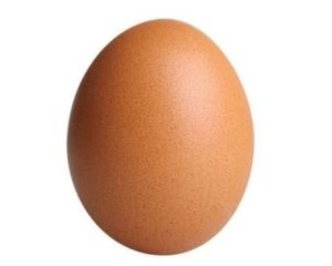Telur